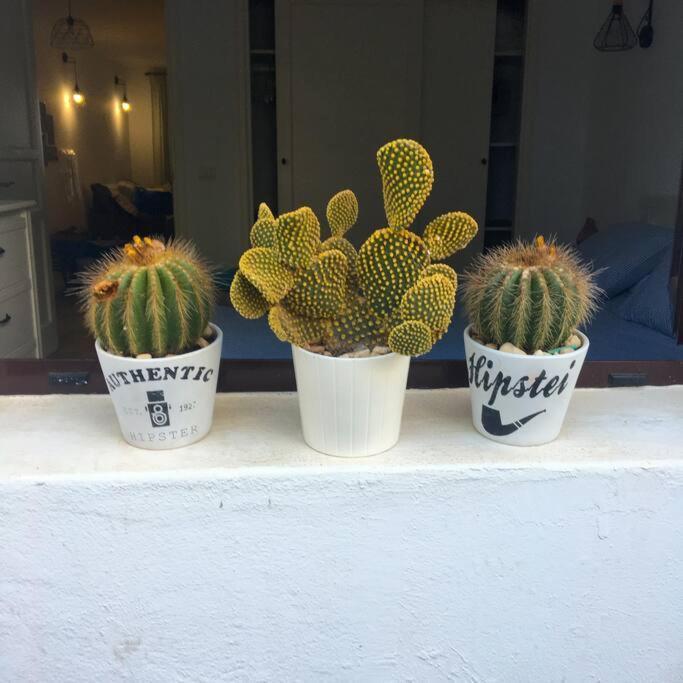Vivienda Vacacional Cactus Costa Teguise Exterior foto